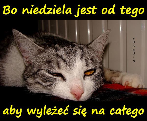 Bo niedziela jest od tego aby wyleżeć się na całego