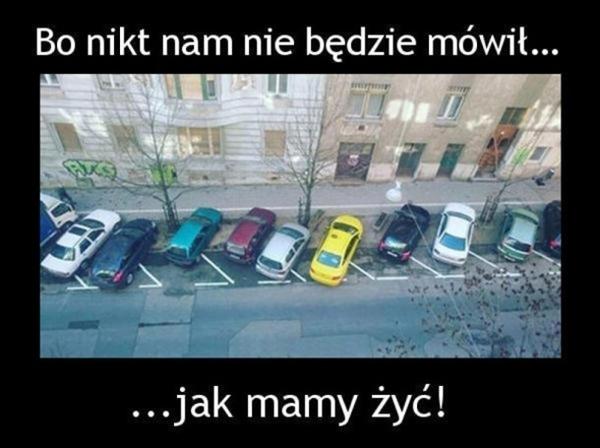 Bo nikt nam nie będzie mówił jak mamy żyć