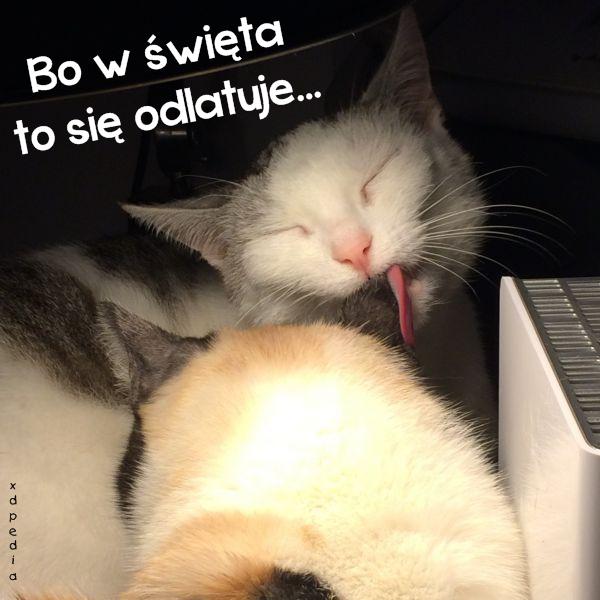 Bo w święta, to się odlatuje