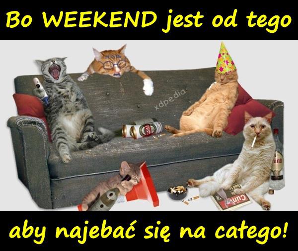 Bo WEEKEND jest od tego, aby najebać się na całego