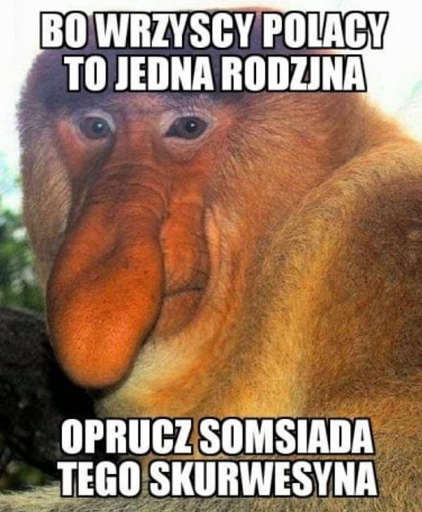 Bo wszyscy Polacy to jedna rodzina, oprucz somsiada tego