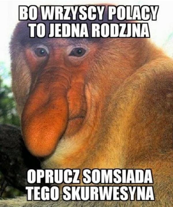 Bo wszyscy Polacy to jedna rodzina, oprócz sąsiada tego