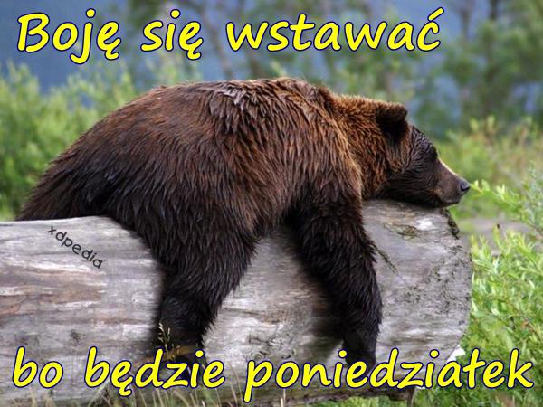 Boję się wstawać bo będzie poniedziałek