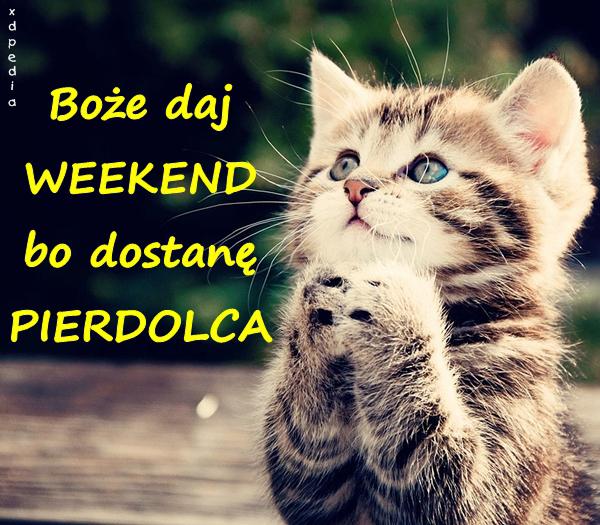 Boże daj WEEKEND bo dostanę PIERDOLCA