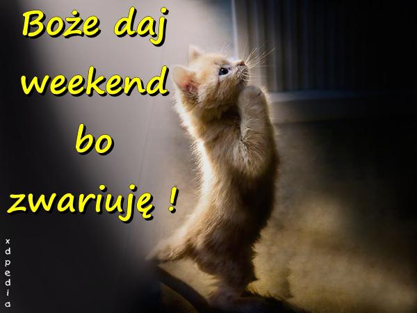 Boże daj weekend bo zwariuję