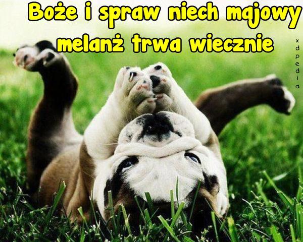 Boże i spraw niech majowy melanż trwa wiecznie