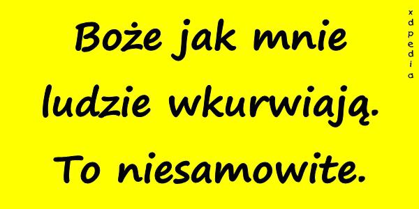 Boże jak mnie ludzie wkurrwiają. To niesamowite