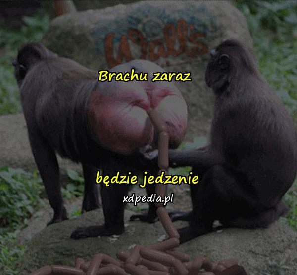 Brachu zaraz będzie jedzenie