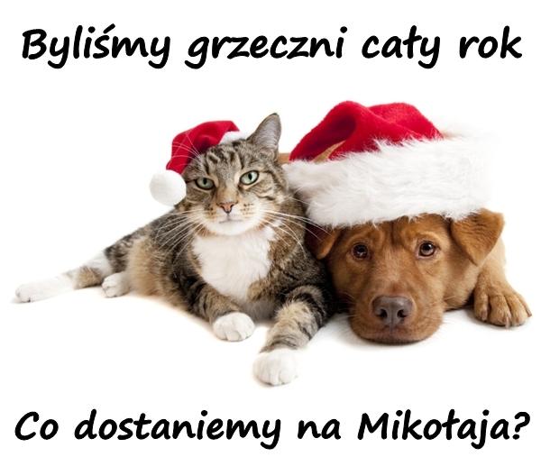 Byliśmy grzeczni cały rok. Co dostaniemy na Mikołaja