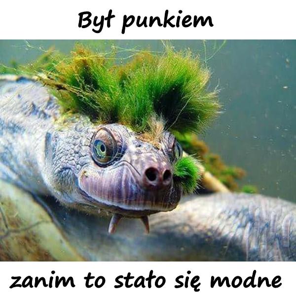 Był punkiem zanim to stało się modne