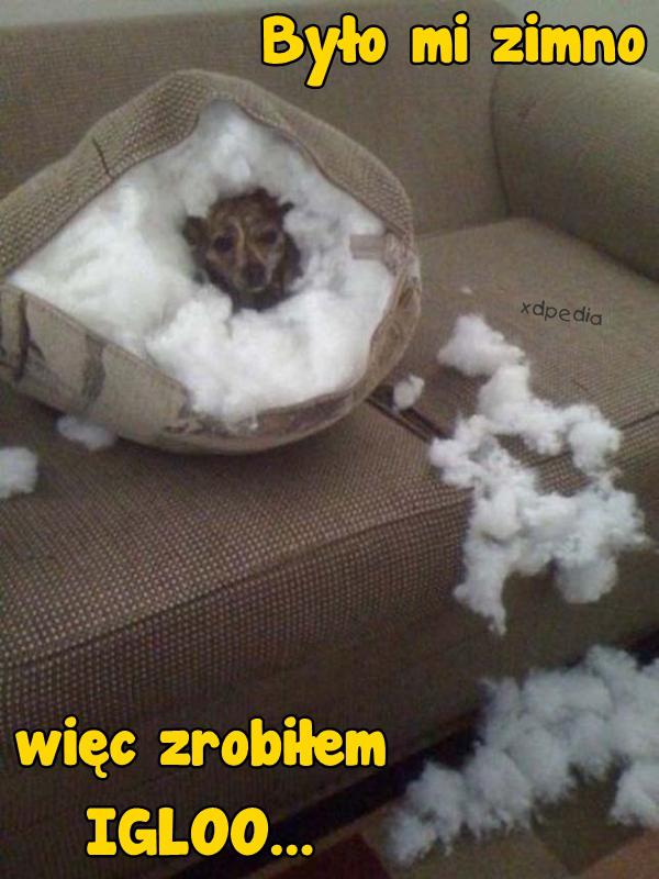 Było mi zimno, więc zrobiłem IGLOO