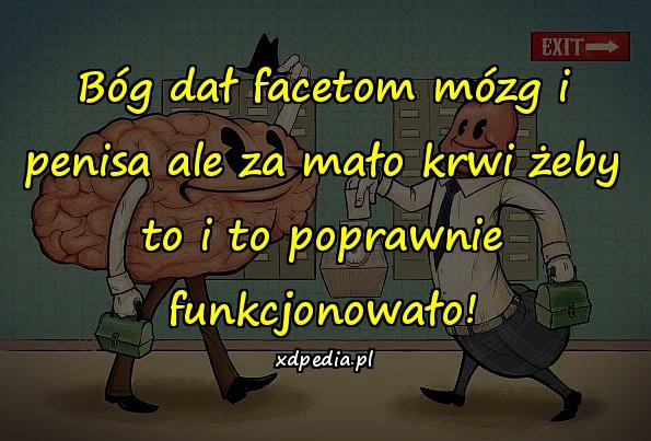 Bóg dał facetom mózg i penisa ale za mało krwi żeby to i to