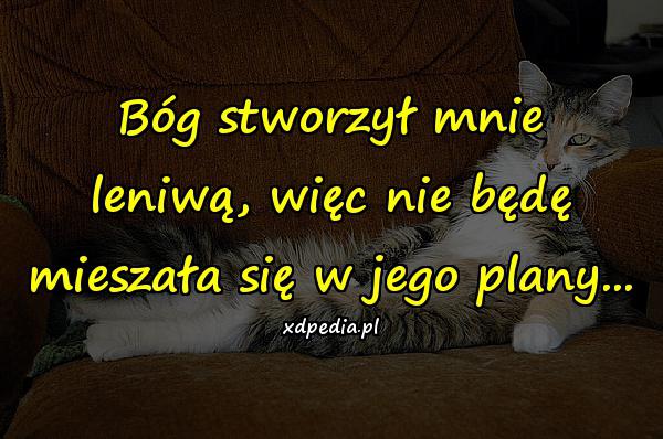 Bóg stworzył mnie leniwą, więc nie będę mieszała się w jego