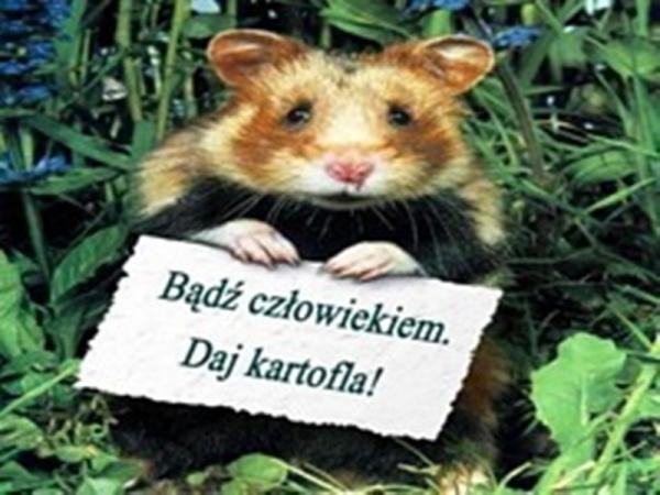 Bądz człowiekiem daj kartofla