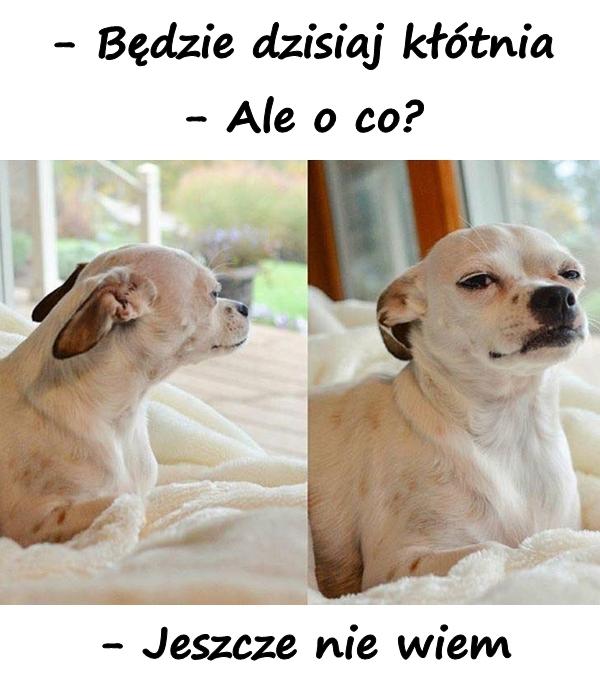 - Będzie dzisiaj kłótnia - Ale o co? - Jeszcze nie wiem