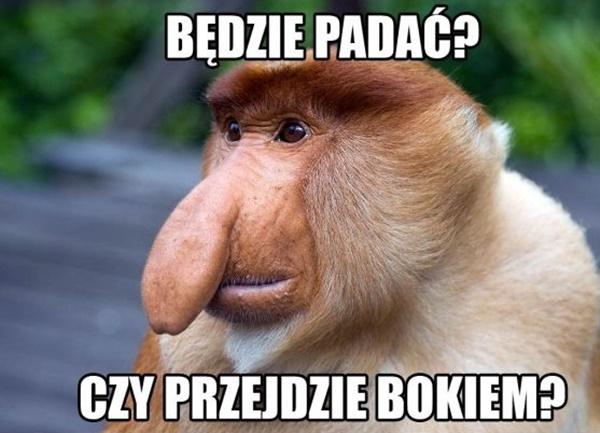 Będzie padać, czy przejdzie bokiem