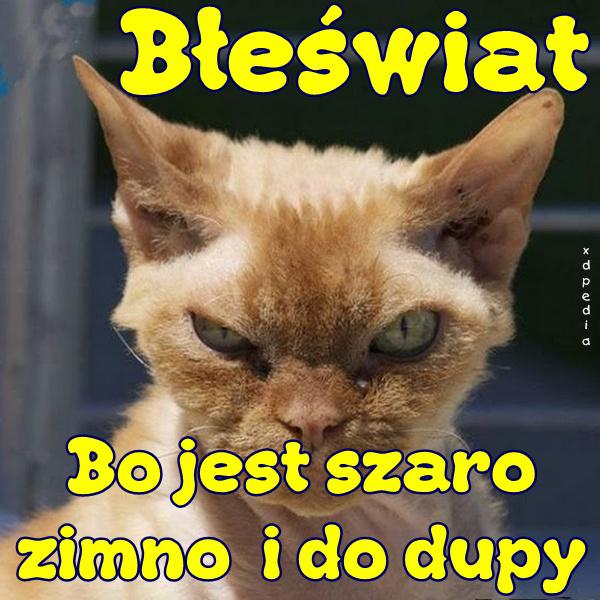 Błeświat - bo jest szaro zimno i do dupy