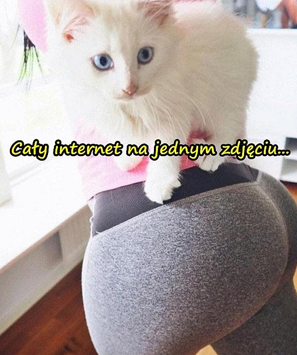 Cały internet na jednym zdjęciu