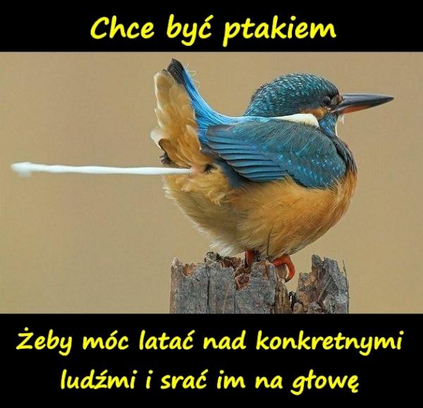 Chce być ptakiem, żeby móc latać nad konkretnymi ludźmi i