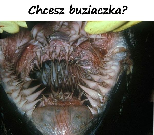 Chcesz buziaczka