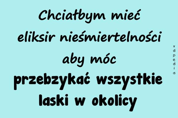 Chciałbym mieć eliksir nieśmiertelności aby móc przebzykać