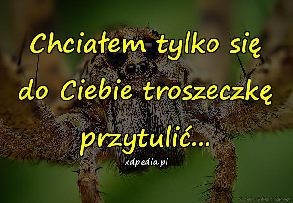 Chciałem tylko się do Ciebie troszeczkę przytulić