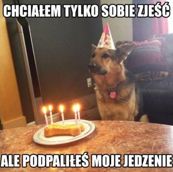 Chciałem tylko sobie zjeść, ale podpaliłeś moje jedzenie