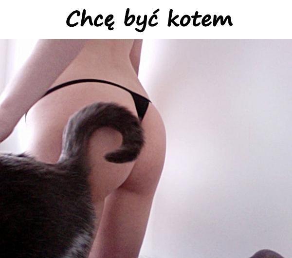 Chcę być kotem