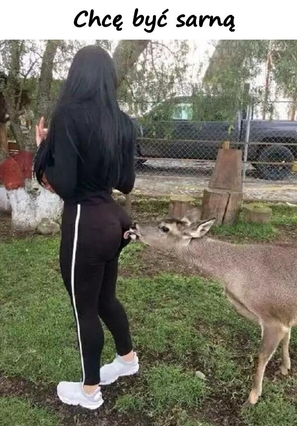 Chcę być sarną