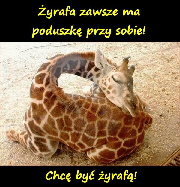 Chcę być żyrafą! Żyrafa zawsze ma poduszkę przy sobie