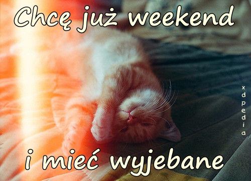 Chcę już weekend i mieć wyjebane