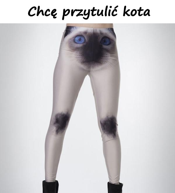 Chcę przytulić kota