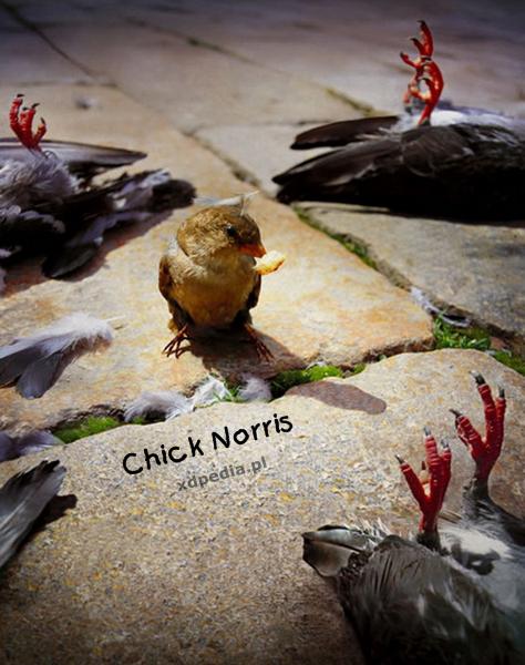 Chick Norris