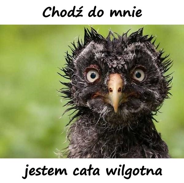 Chodź do mnie jestem cała wilgotna