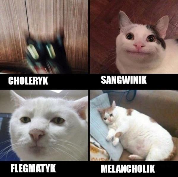 Choleryk, sangwinik, flegmatyk, melancholik