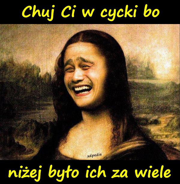 Chuj Ci w cycki bo niżej było ich za wiele