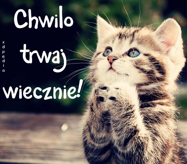 Chwilo trwaj wiecznie