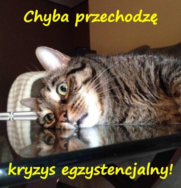 Chyba przechodzę kryzys egzystencjalny