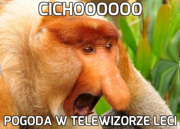 Cichoooooo pogoda w telewizorze leci