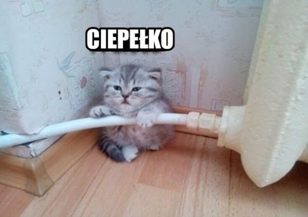 Ciepełko