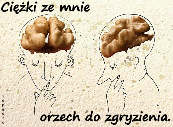 Ciężki ze mnie orzech do zgryzienia