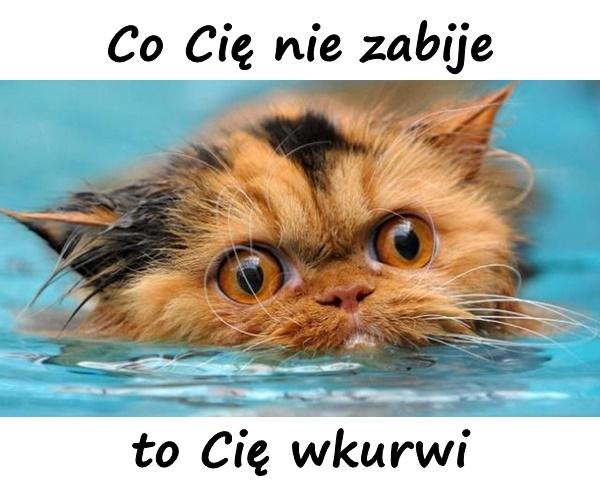 Co Cię nie zabije to Cię wkurwi