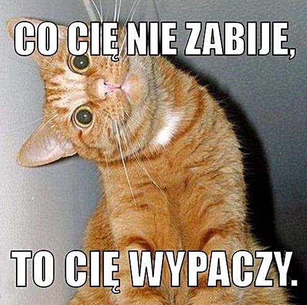 Co cię nie zabije, to cię wypaczy