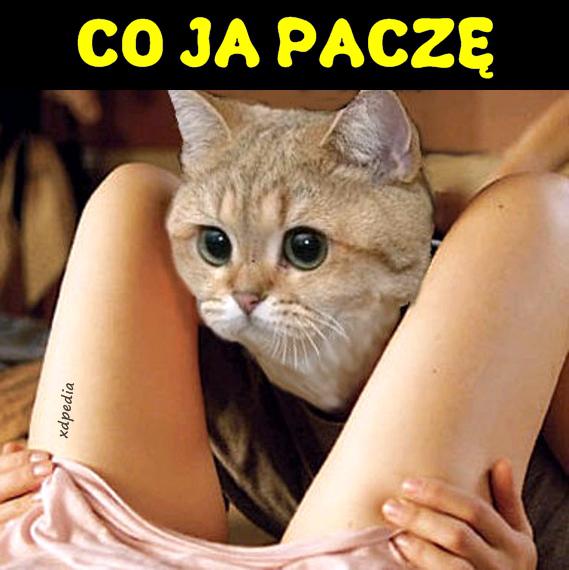 CO JA PACZĘ