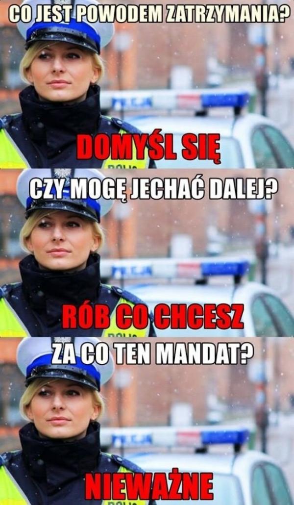 - Co jest powodem zatrzymania? - Domyśl się? - Mogę jechać