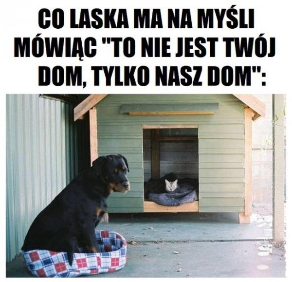 Co laska ma na myśli mówiąc: "To nie jest Twój dom, tylko