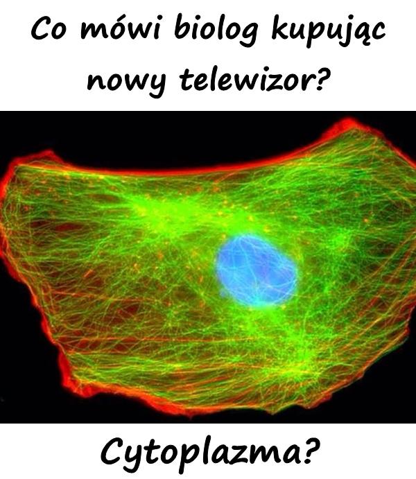 Co mówi biolog kupując nowy telewizor? Cytoplazma