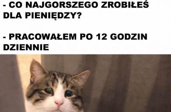 - Co najgorszego zrobiłeś dla pieniędzy? - Pracowałem po