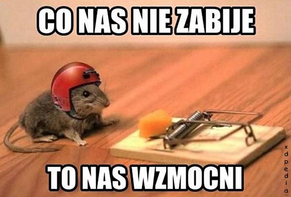 Co nas nie zabije, to nas wzmocni