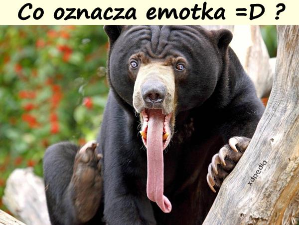 Co oznacza emotka =D